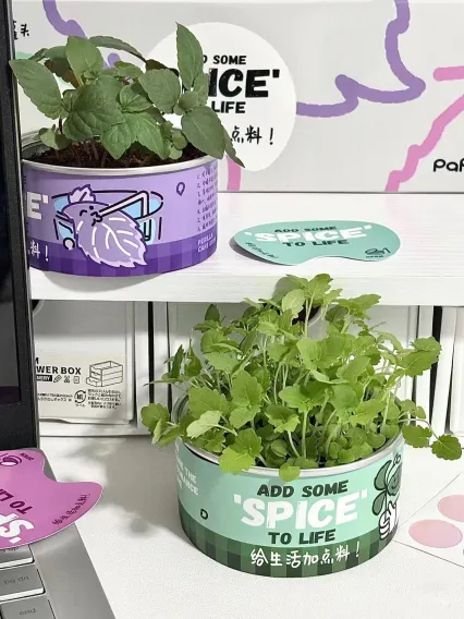 Perfect Chinese Gift For Woman: Mini Potted Plant